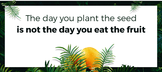 The day you plant the seed is not the day you eat the fruit